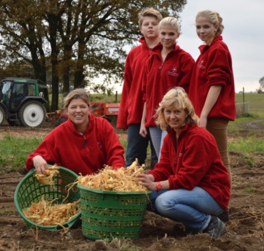 Ginsenganbau in Deutschland hat Familientradition