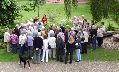 kostenlose Führungen in die Ginsengfelder der FloraFarm